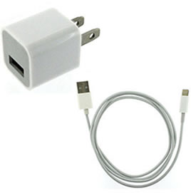 Typical iPhone charger and cable